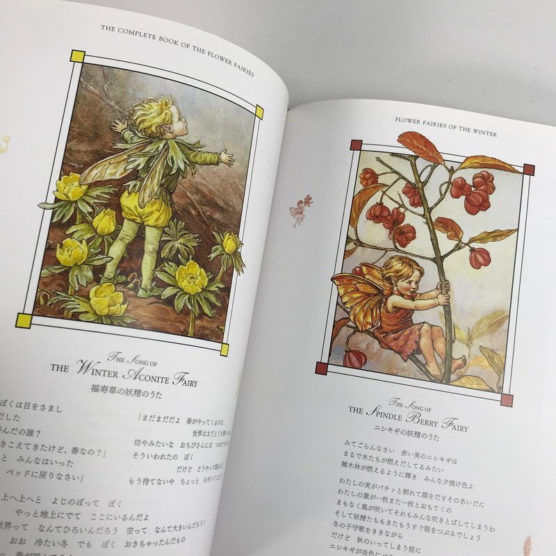 FUZ【中古美品】 フラワーフェアリーズ (花の妖精たち 愛蔵版) 絵本 〈5-240317-NM-10-FUZ〉_画像4