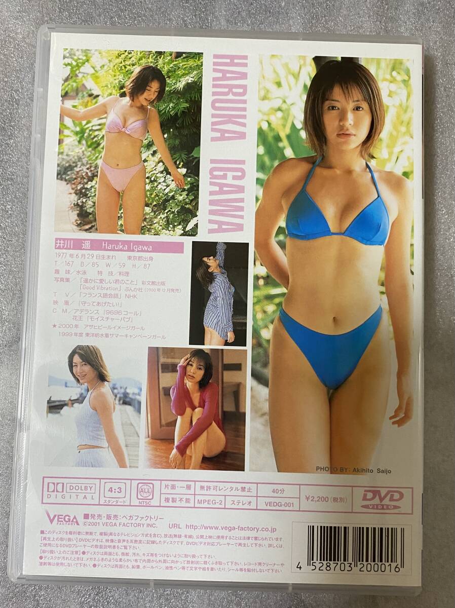  DVD 井川遥　『 Open Wing 』