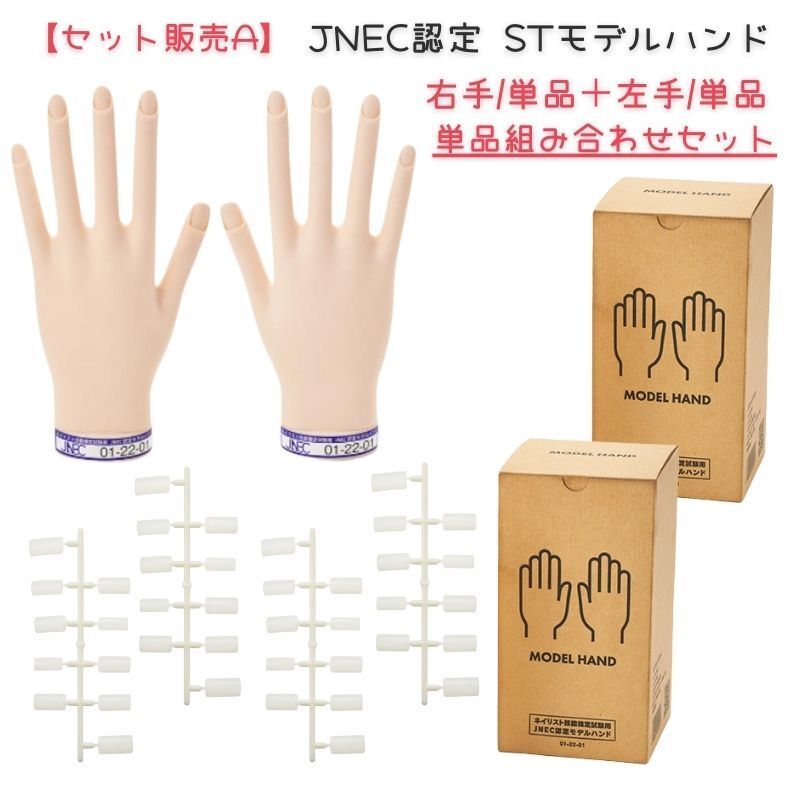 【単品セット販売A】 JNEC認定 滝川 STモデルハンド 右手 左手 両手 単品セット 第1期認定 ネイリスト検定_画像1