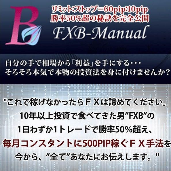 FXB-Manual 2014〈PDF72p/動画46/特典付〉+ FXB-Manual 熱血編〈前編・後編動画/Q&A動画〉フルセット の画像1