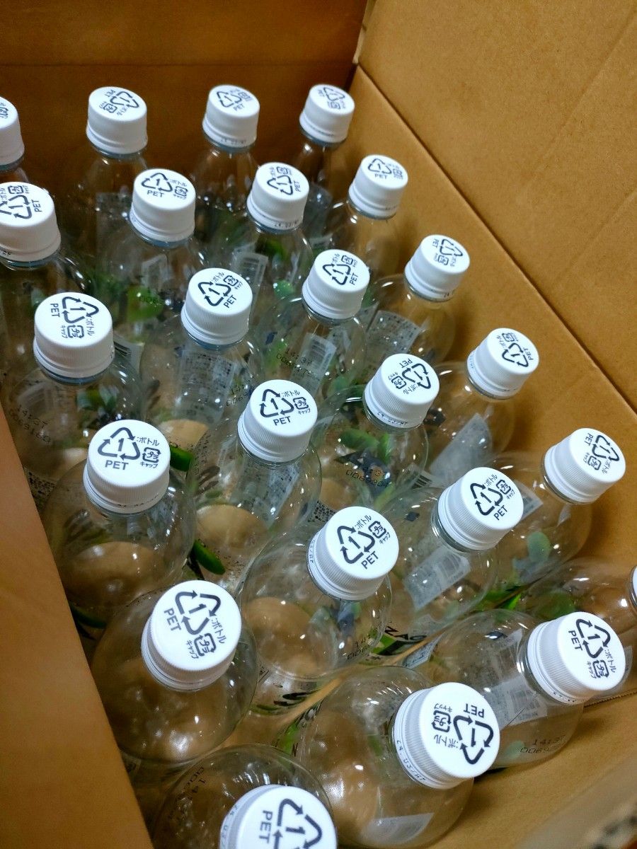 ZAO SODA ライム 空ペットボトル 96本 500ml ペットボトル ボトル 炭酸 炭酸水 強炭酸 材料 DIY  