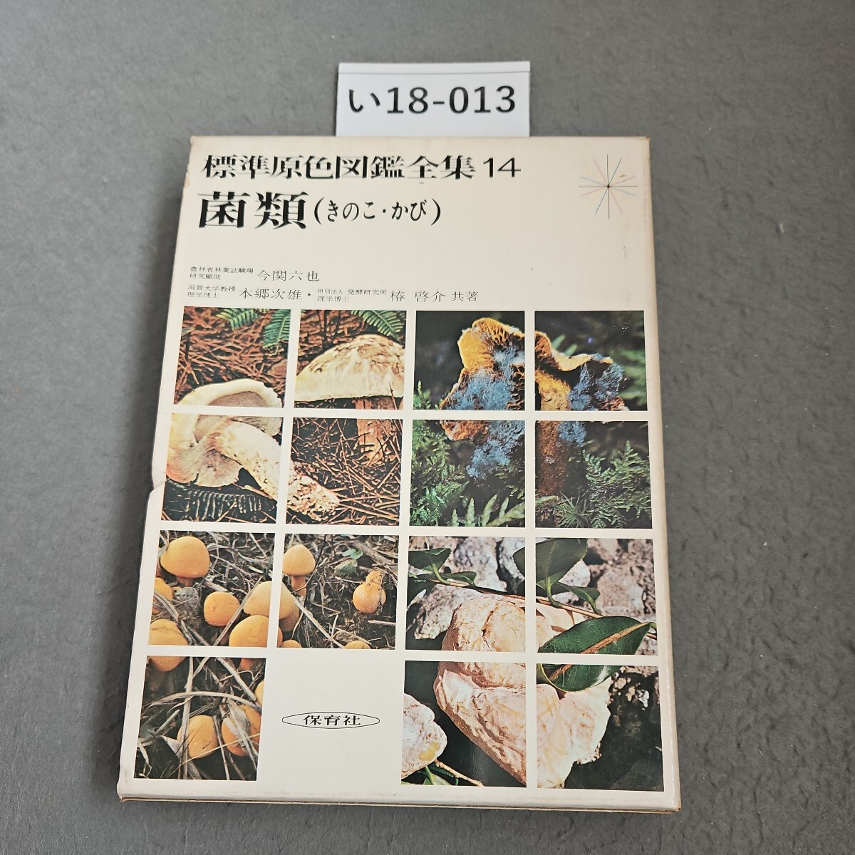 い18-013 標準原色図鑑全集14 菌類(きのこ・かび)保育社_画像1