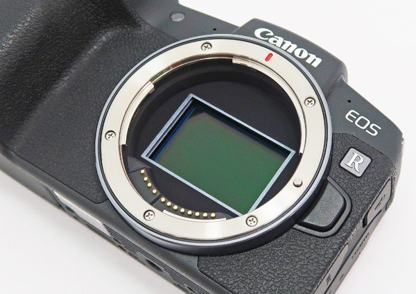 * прекрасный товар [Canon Canon ]EOS RP корпус беззеркальный однообъективный камера 