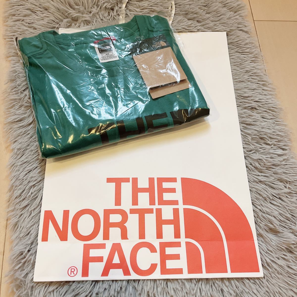 THE NORTH FACE 日本未発売 ザノースフェイス メンズ レディース 半袖 Tシャツ ハーフドーム L ビッグロゴの画像7