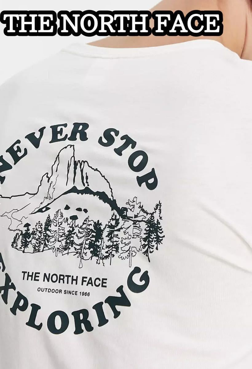 THE NORTH FACE ノースフェイス メンズ 長袖 ロンT Tシャツ バッグプリント アウトドア M L ホワイト 白