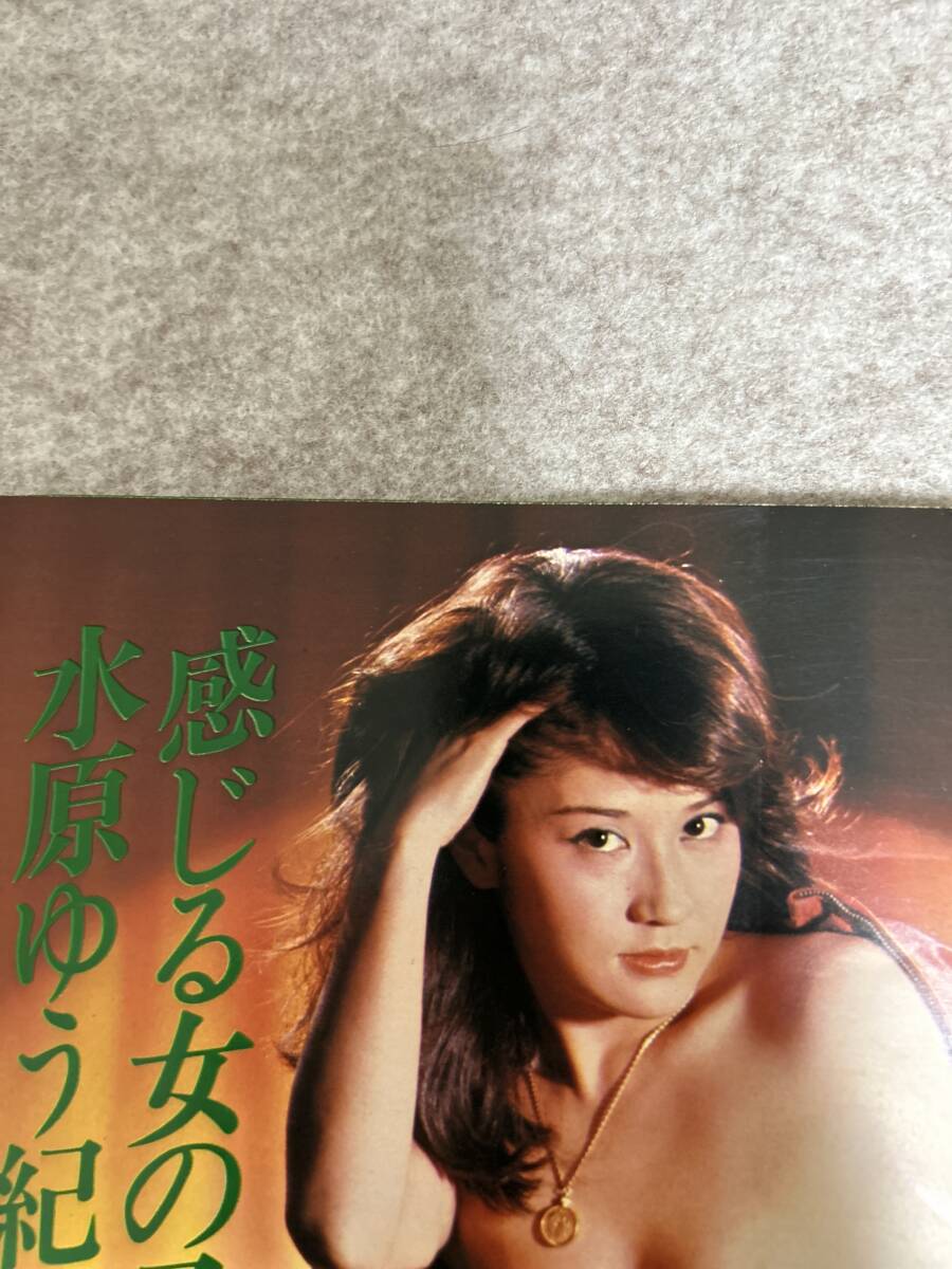 映画の友　1979年　昭和54年1月 水原ゆう紀　マリア茉莉ピンナップとグラビア　宮井えりな　志麻いづみ_画像2