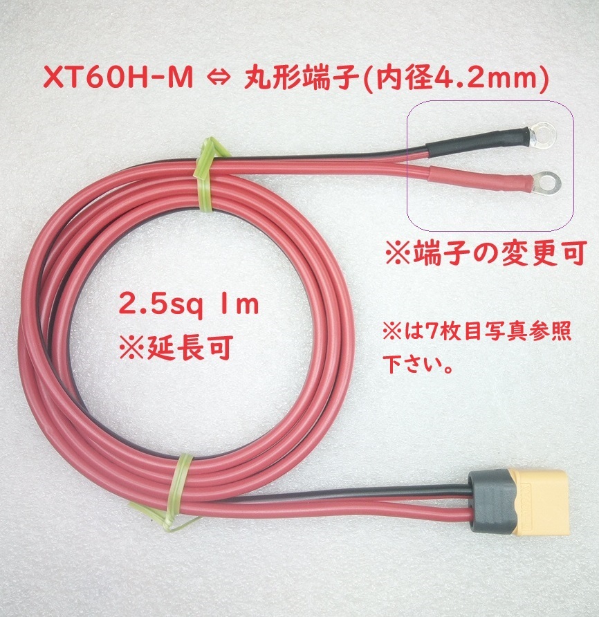 XT60H-M ⇔ 丸形端子 変換ケーブル【送料180円】の画像1