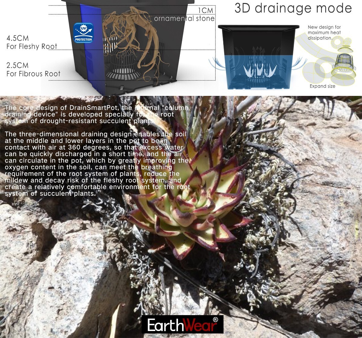 多肉植物 アガべ チタノタ専用の鉢 EARTHWEAR Drain Smart Pot S12 Black 5個セット排水性 通気性 スリット鉢 発根管理の画像5