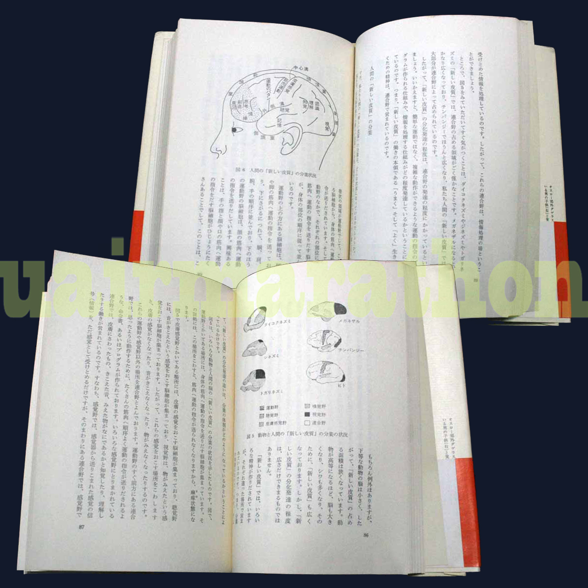 郵送買取 新品5台以上送料無料キャンペーン中!! 老子思想への開眼 脳と人間 無と人間 伊福部隆彦 老子 時実利彦 哲学、思想
