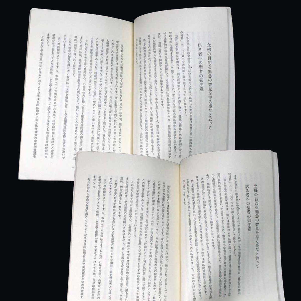 辨榮聖者の彌陀の啓示「開」「示」「悟」「入」 佛陀禅那辨榮聖者御主唱 超在一神的汎神教 如来光明摂化主義 著者柴武三 仏教 成佛への正道_画像5