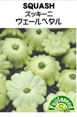 ＜野菜の種＞ズッキーニ　ヴェールペタル　８粒　花形グリーン　４種郵便で発送_画像1