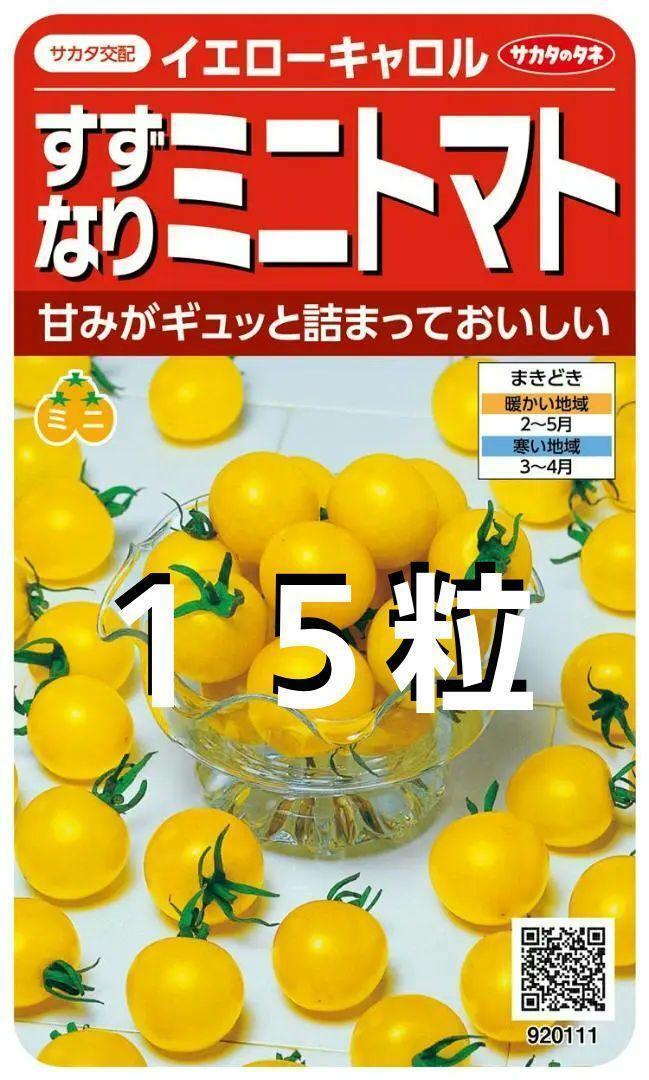 メーカー品未開封＜野菜の種＞１５粒　すずなりミニトマト　イエローキャロル 　黄色いミニトマト_画像1