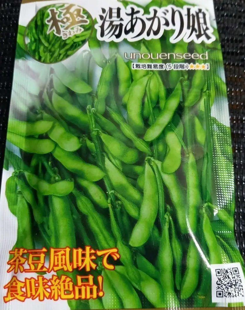 未開封＜野菜の種＞エダマメ　湯あがり娘　25ｍｌ　枝豆の種　えだまめのタネ_画像1