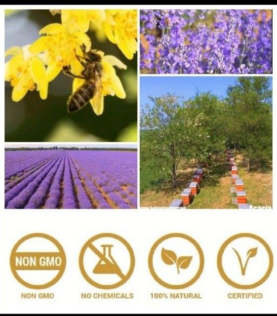 450g生オーガニックラベンダー蜂蜜Organic Lavender Honey はちみつ