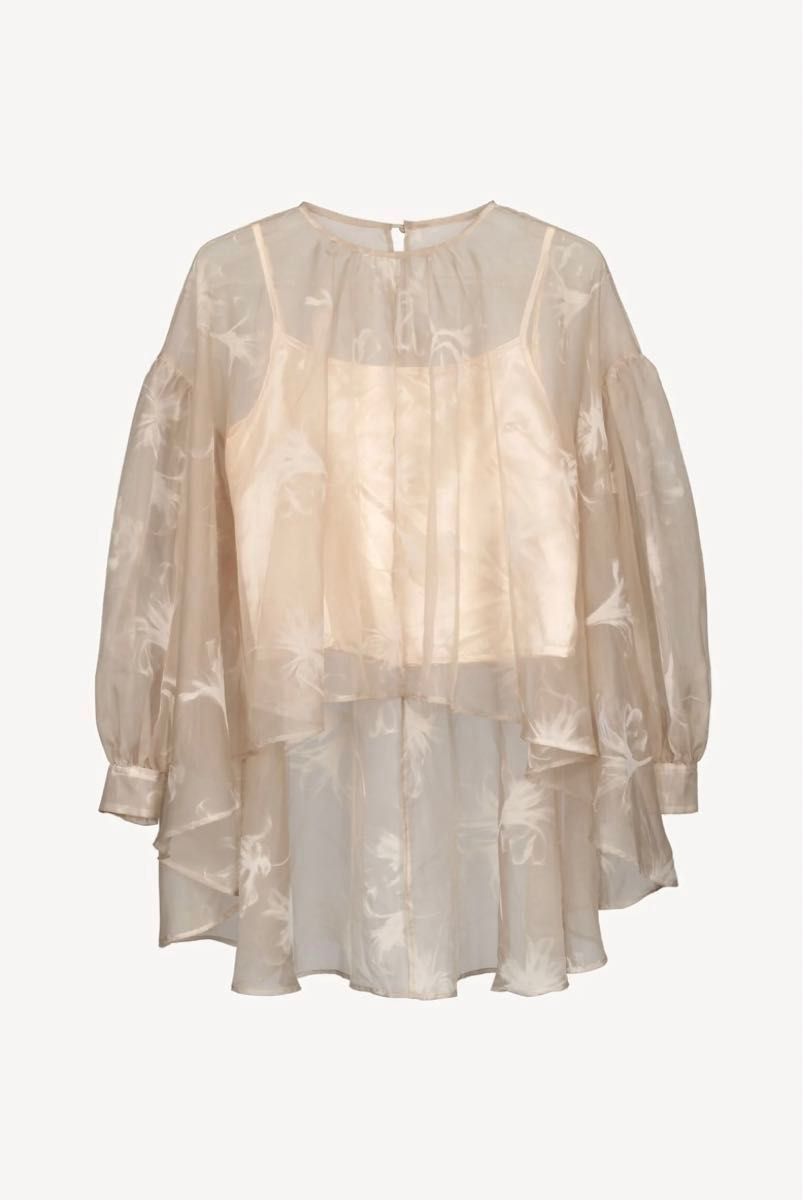 Acka sheer over flare blouse