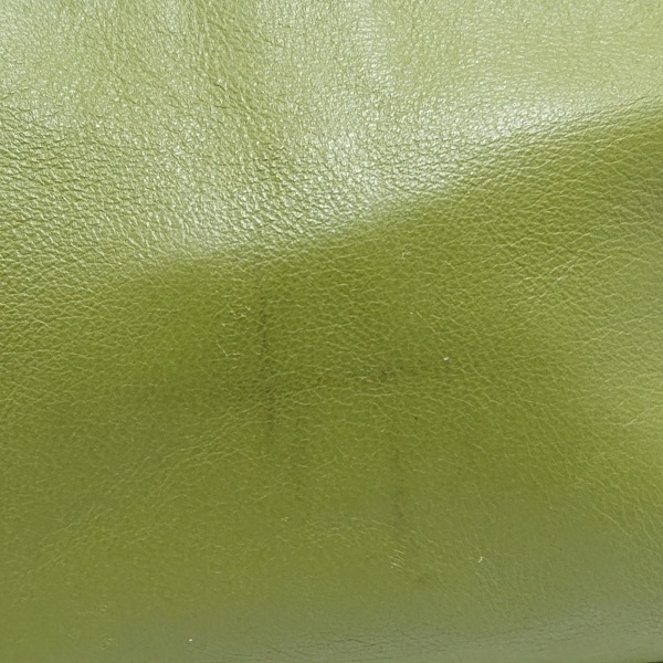  Long Champ LONGCHAMP shoulder bag - leather yellow green bag 