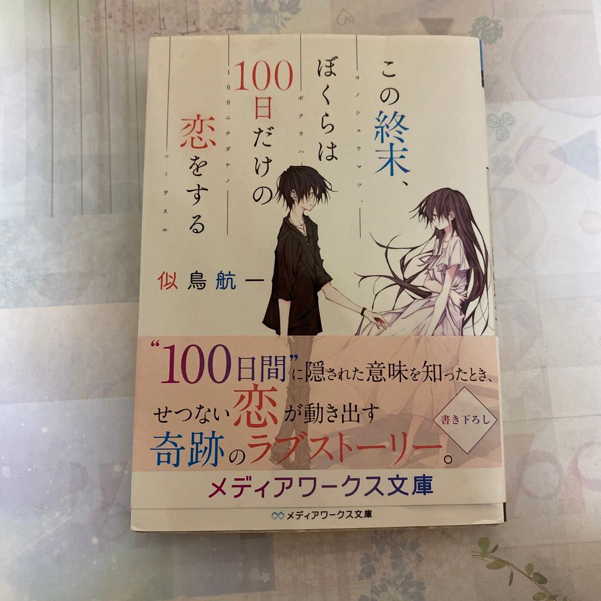 この終末、ぼくらは１００日だけの恋をする （メディアワークス文庫　に２－１１） 似鳥航一／〔著〕