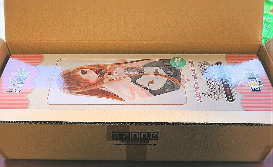 ＊アゾン アイリスコレクト・プチ すずね 〜Wonder fraulein〜 Goth×Loli cats アゾンダイレクトストア販売Ver. 開封品_メーカー専用段ボールにて発送します