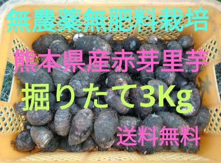 ●無農薬無肥料栽培●熊本県産●赤芽里芋●3Kg_画像1