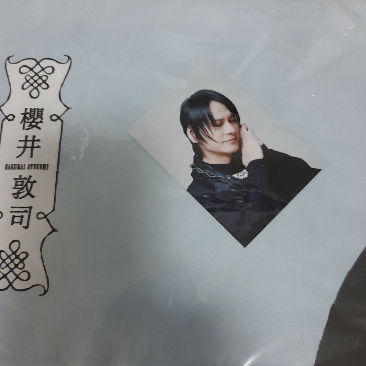 BUCK-TICK 枕カバー 櫻井敦司プロデュース ライブグッズ ツアー BUCK-TICK 枕カバー 櫻井敦司プロデュース ライブグッズ ツアー