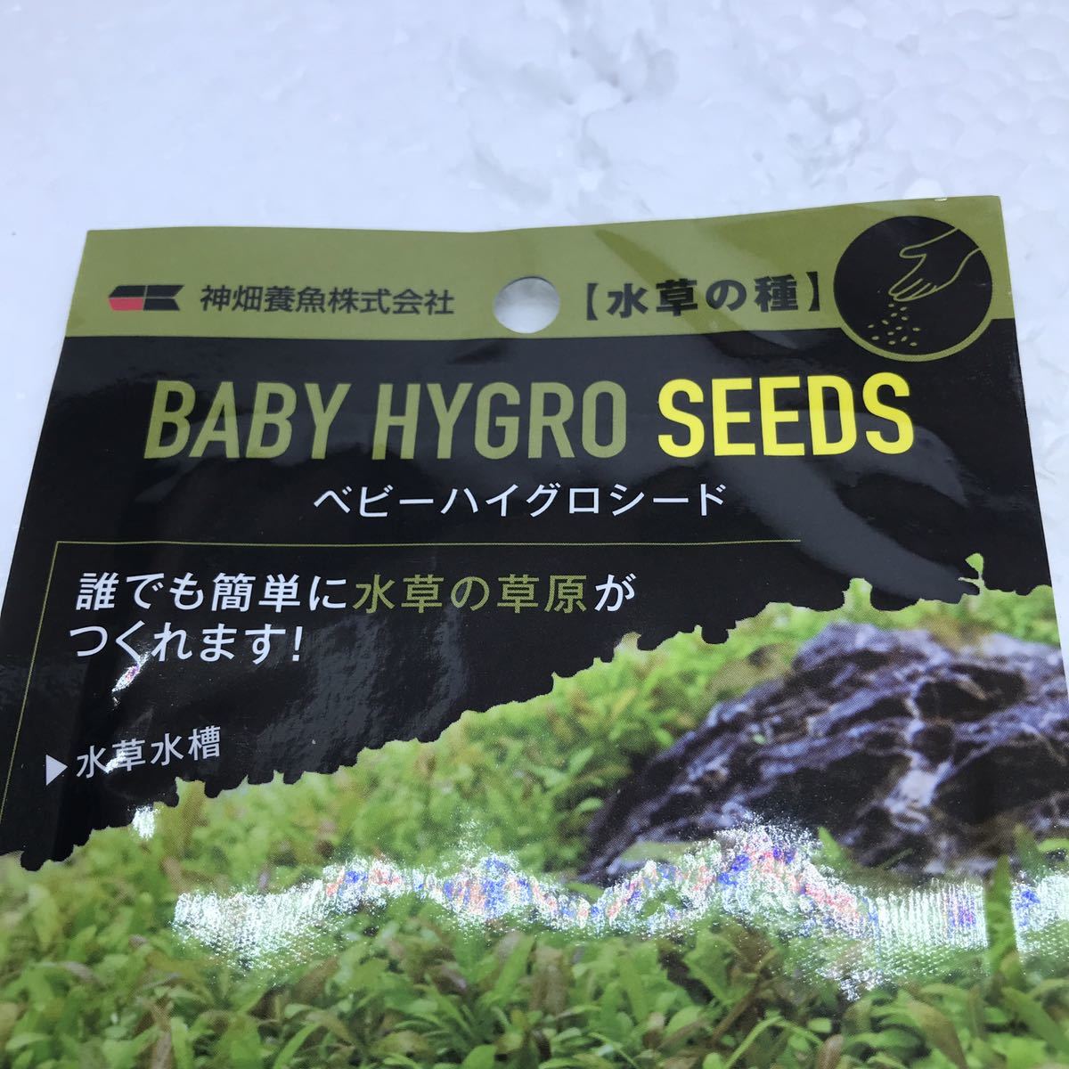 未使用 神畑 ベビーハイグロシード 水草の種 水草の草原 BABY HYGRO SEEDS カミハタの画像2