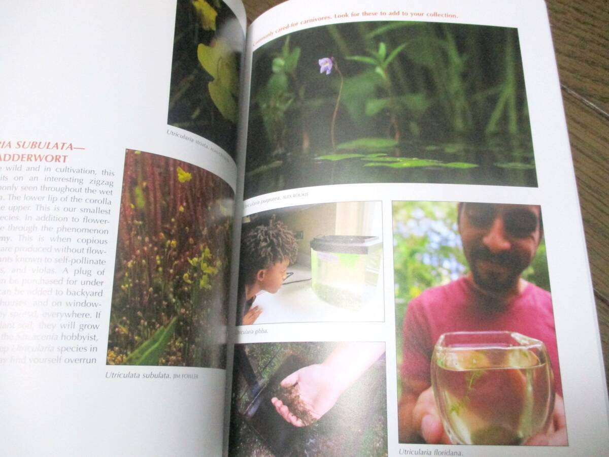 洋書☆フロリダの食虫植物 フロリダ州在来種の理解 同定 栽培【22年版 新品】◇本 写真集 生物 ガーデニング アメリカ 世界 _画像6