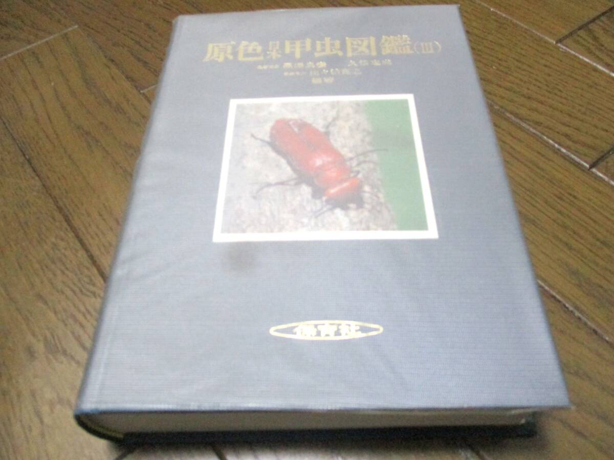 お気に入りの 原色日本甲虫図鑑 3 (保育社の原色図鑑 70) 原色日本甲虫