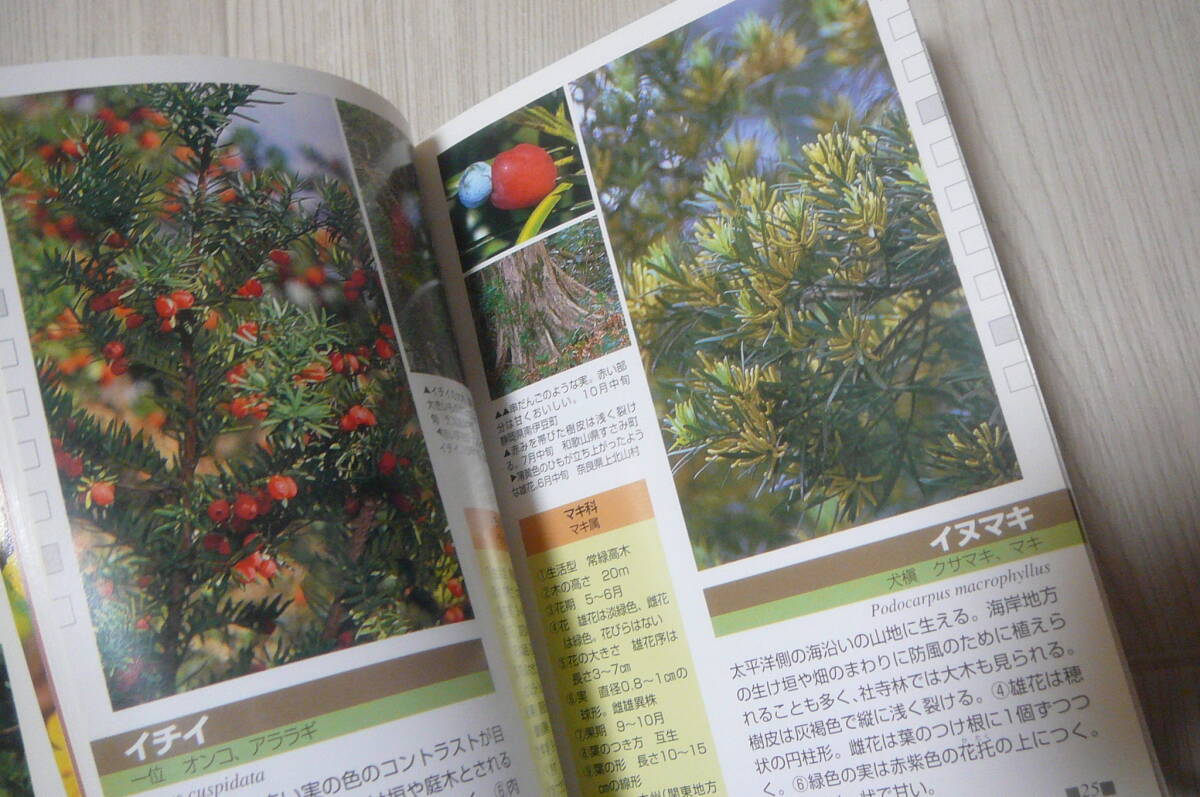 *. mountain. tree & medicinal herbs ..300 secondhand book 