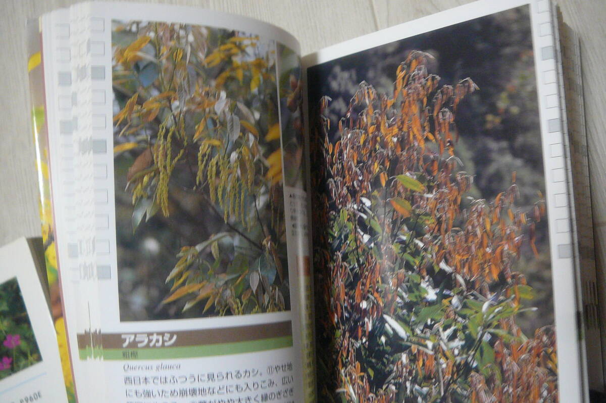 *. mountain. tree & medicinal herbs ..300 secondhand book 