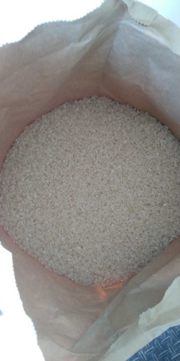 栃木県特一等米ゆうだい21、25キロ無農薬になります。珍しい無農薬のお米を召し上がって見ませんか。もっちり、甘味、ふっくらのゆうだい21の画像2