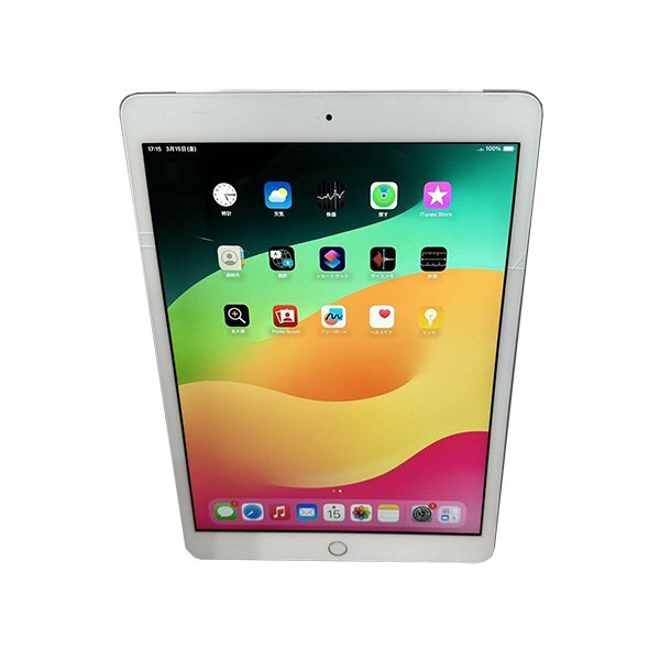 ジャンク品 10.2インチ 第7世代 APPLE iPad A2198 MW6C2J/A ジャンク品 10.2インチ 第7世代 APPLE iPad A2198 MW6C2J/A