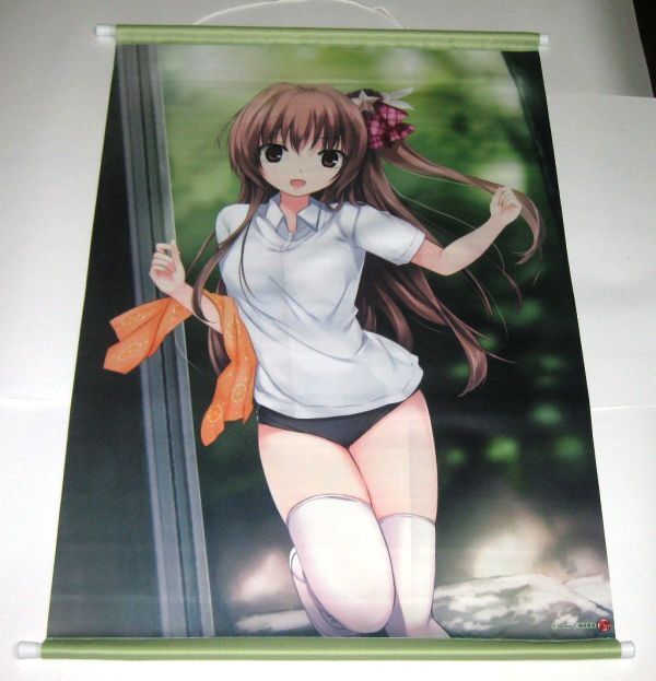 珈琲貴族「舞香コレクション」B2タペストリー (体操服 ブルマ)