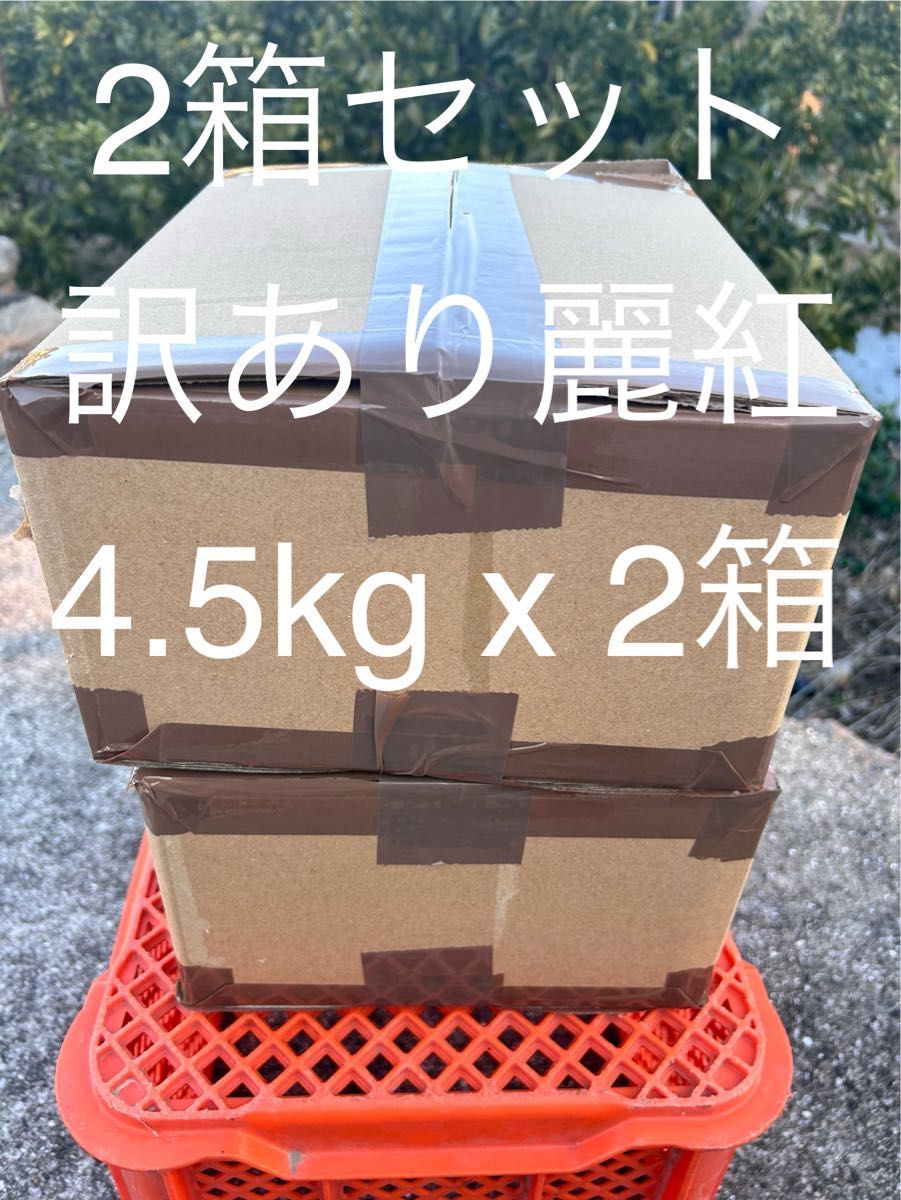 訳あり　麗紅 S 4.5kgx2箱　同一配送先限定　せとか姉妹品種　有田みかん