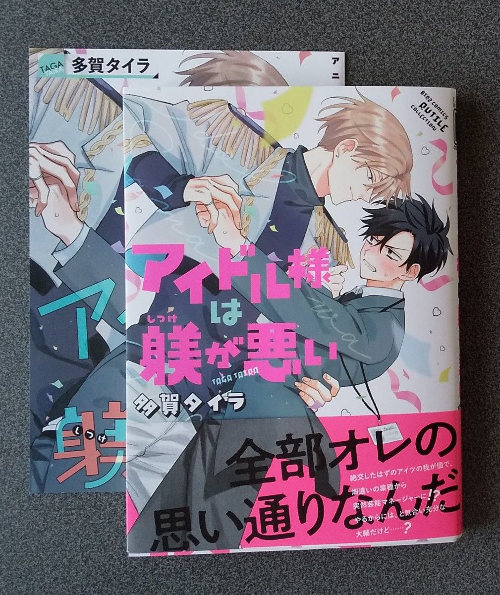  多賀タイラ アイドル様は躾が悪い  リーフレット付
