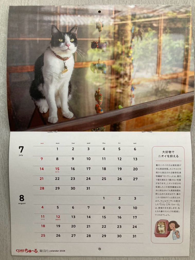  prompt decision including carriage * cat ...No.131 appendix [ cat ... calendar 2024 ornament type 2024 year 1 month -12 month ]2024 year winter number appendix only anonymity delivery . peace 6 year nyanko