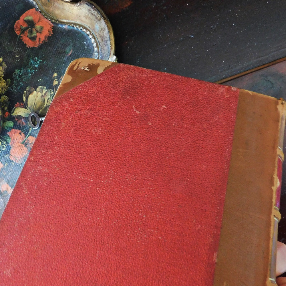+..。*゜+ 1864年 背表紙が素敵なフランスの古書 歴史書 アンティークブック ヴィンテージ本 洋書 古書 イギリス インテリア 家具の画像10