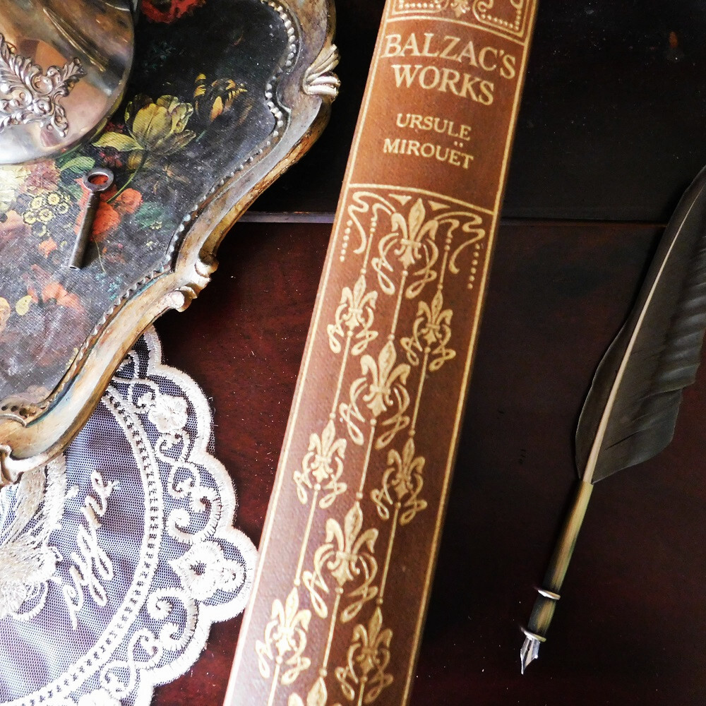 +..。*゜+ 19世紀 背表紙が素敵な英国の古書 アンティークブック ヴィンテージ本 洋書 古書 イギリス ブラウン フランスの小説の画像2