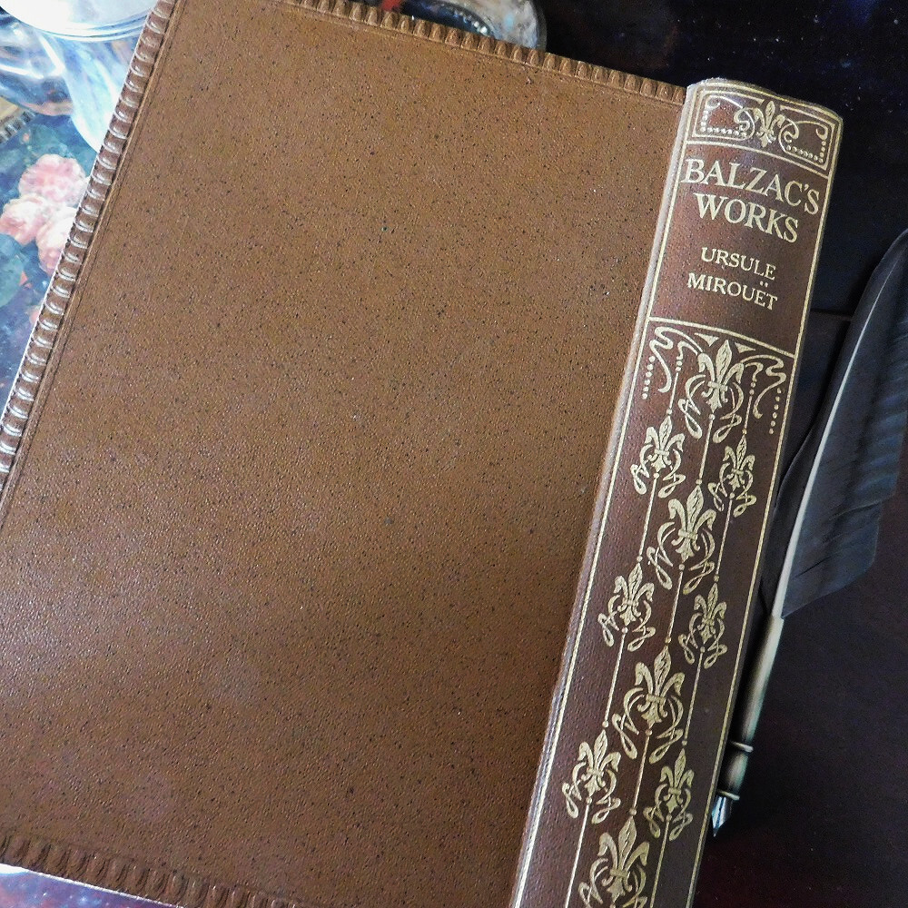 +..。*゜+ 19世紀 背表紙が素敵な英国の古書 アンティークブック ヴィンテージ本 洋書 古書 イギリス ブラウン フランスの小説の画像3