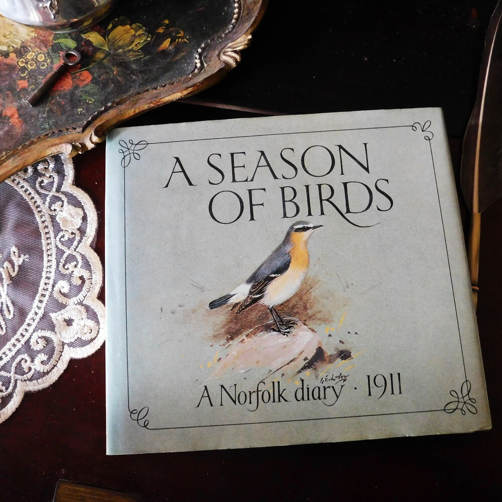 +..。*゜+ イギリスの鳥たちの図鑑 日記帳 英国のヴィンテージ本 鳥類 英国 ヴィンテージ本 洋書 古書 アンティーク ディスプレイの画像1