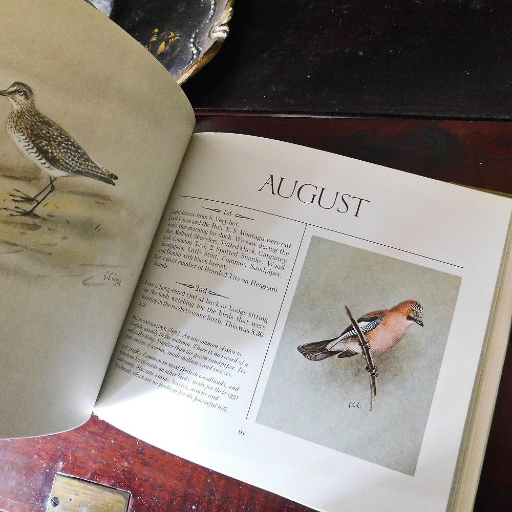 +..。*゜+ イギリスの鳥たちの図鑑 日記帳 英国のヴィンテージ本 鳥類 英国 ヴィンテージ本 洋書 古書 アンティーク ディスプレイの画像5
