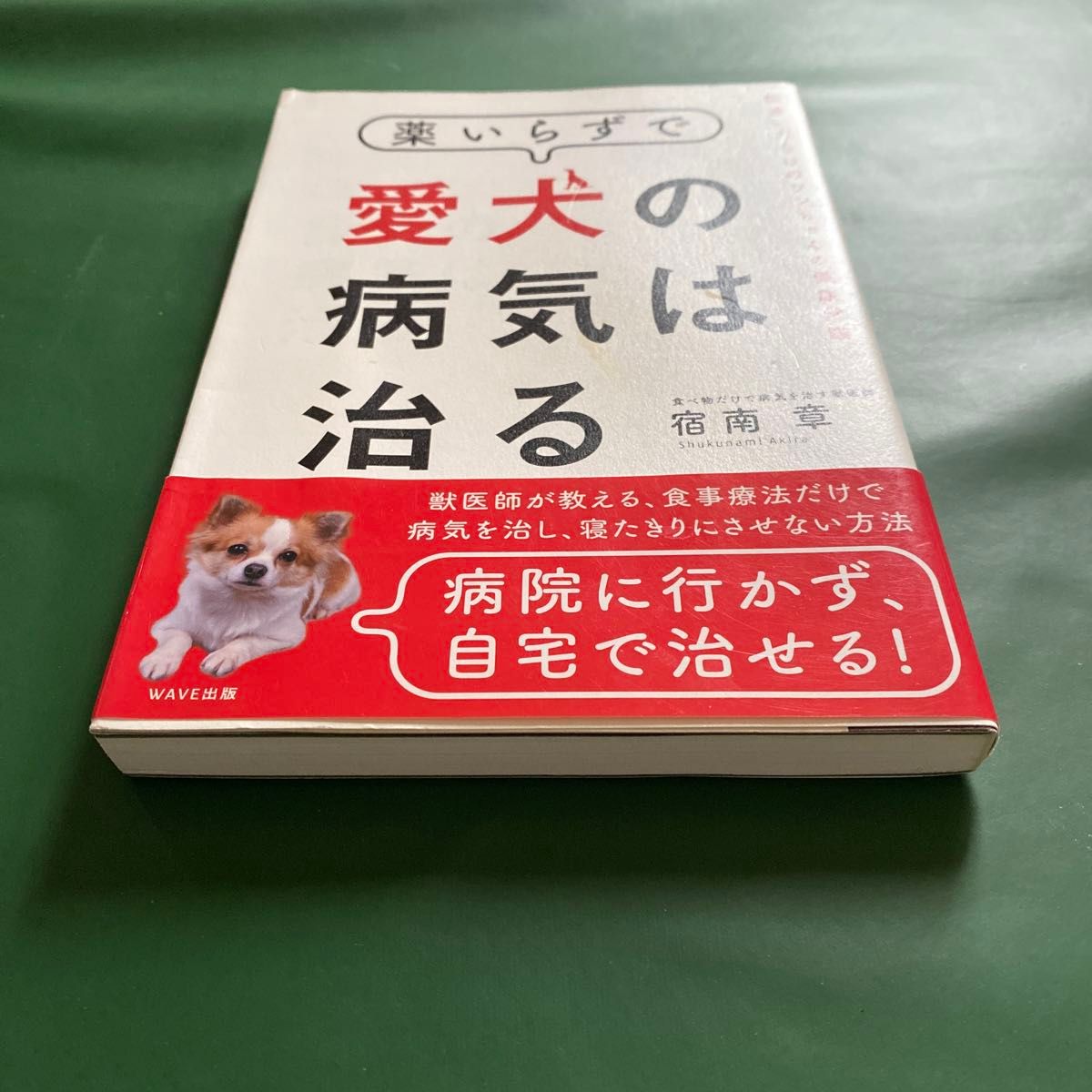 薬いらずで愛犬の病気は治る　間違いだらけのワンちゃんの健康常識 宿南章／著