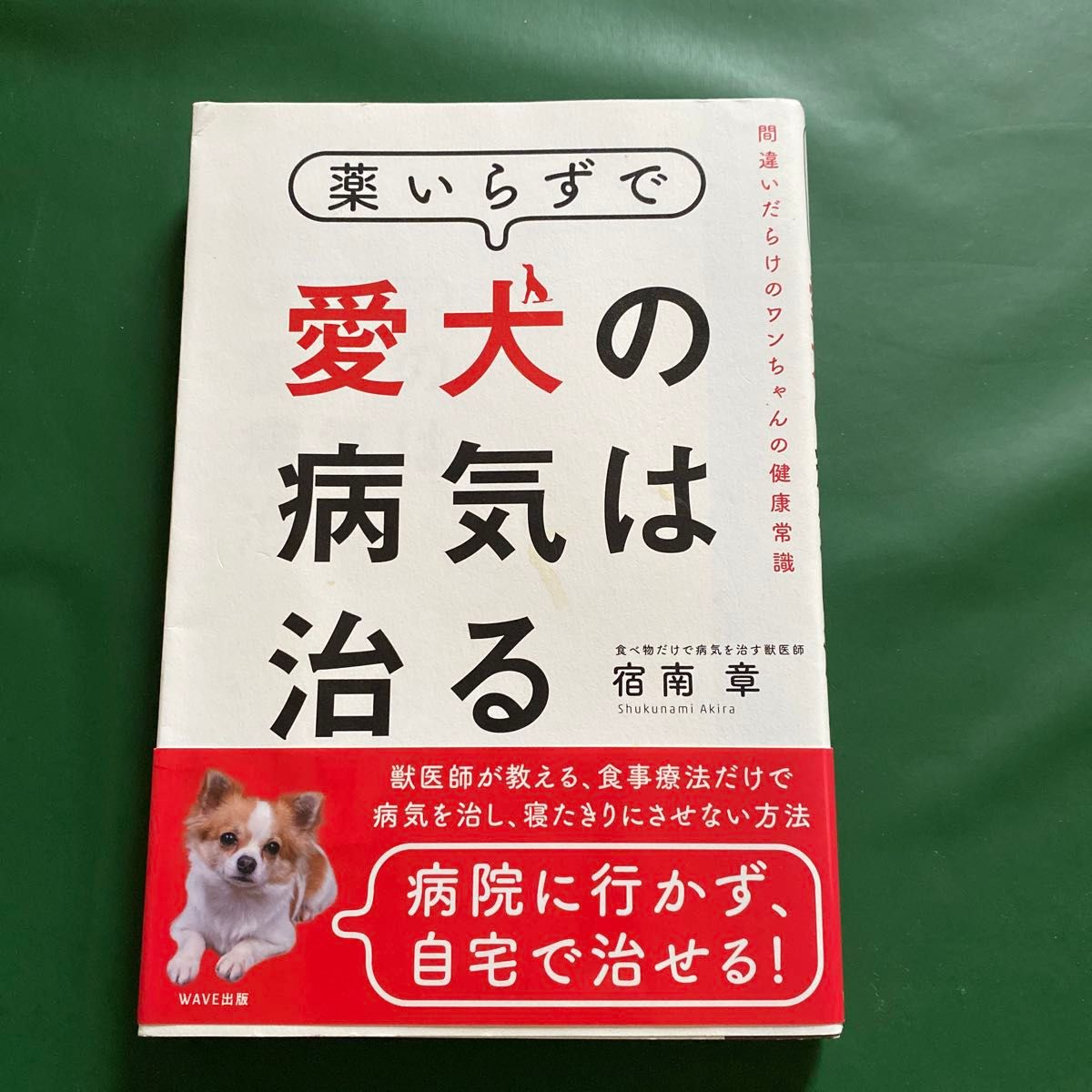 薬いらずで愛犬の病気は治る　間違いだらけのワンちゃんの健康常識 宿南章／著