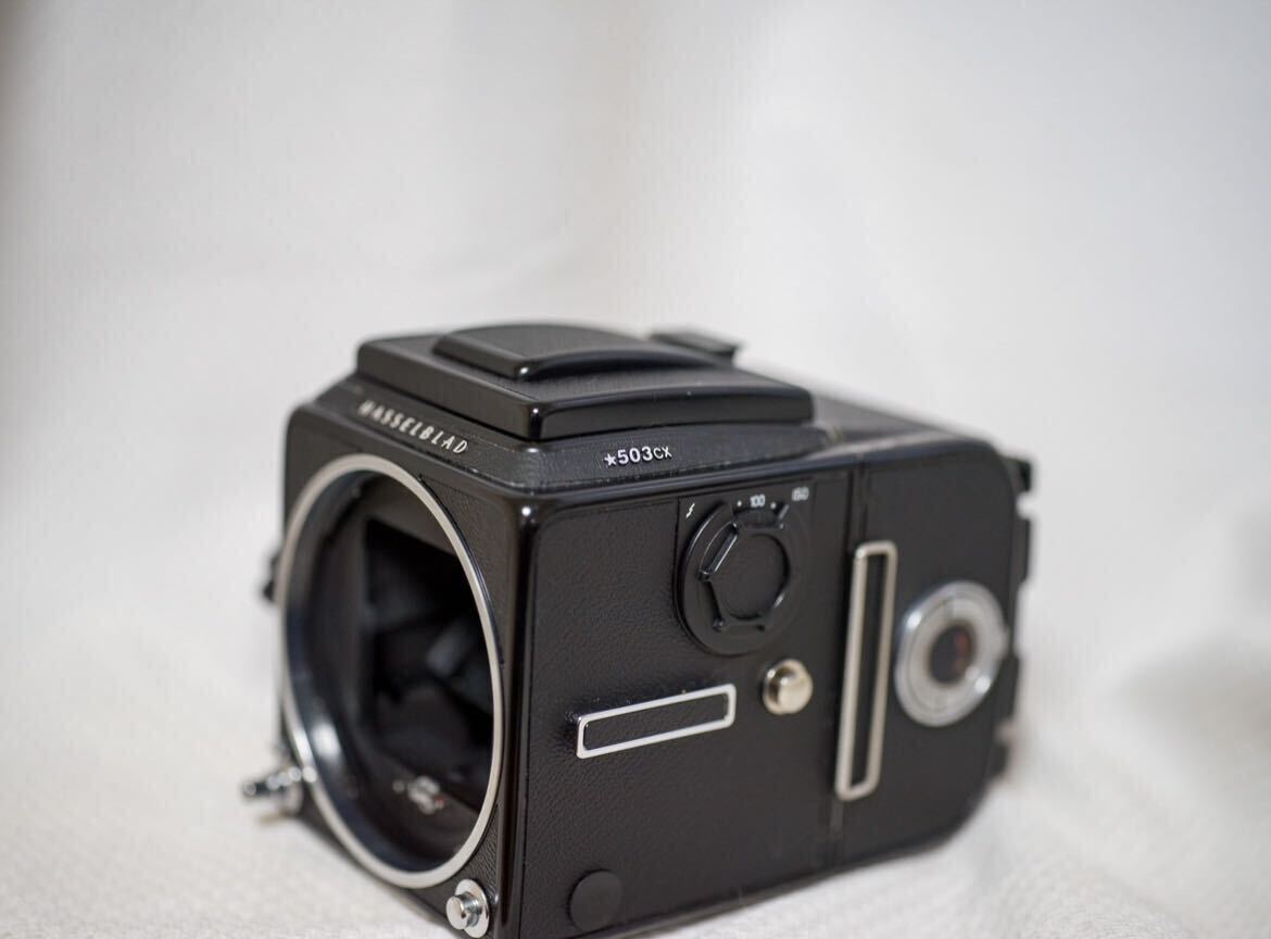 HASSELBLAD 503cx 希少なブラック メンテ済み！スターマーク_画像1