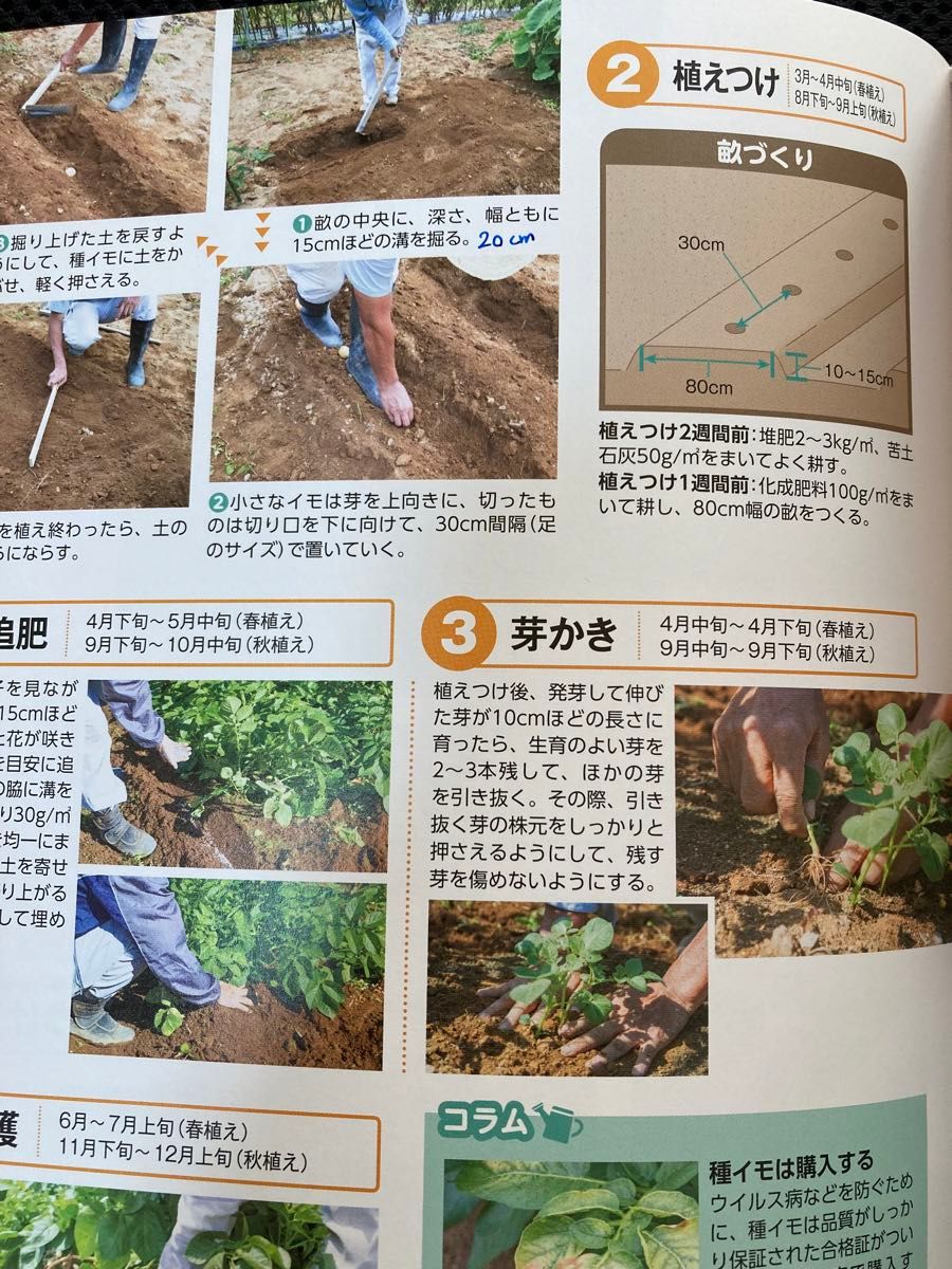 はじめての野菜づくり図鑑110種　北条雅章　野菜作り　家庭菜園　市民農園　土づくり