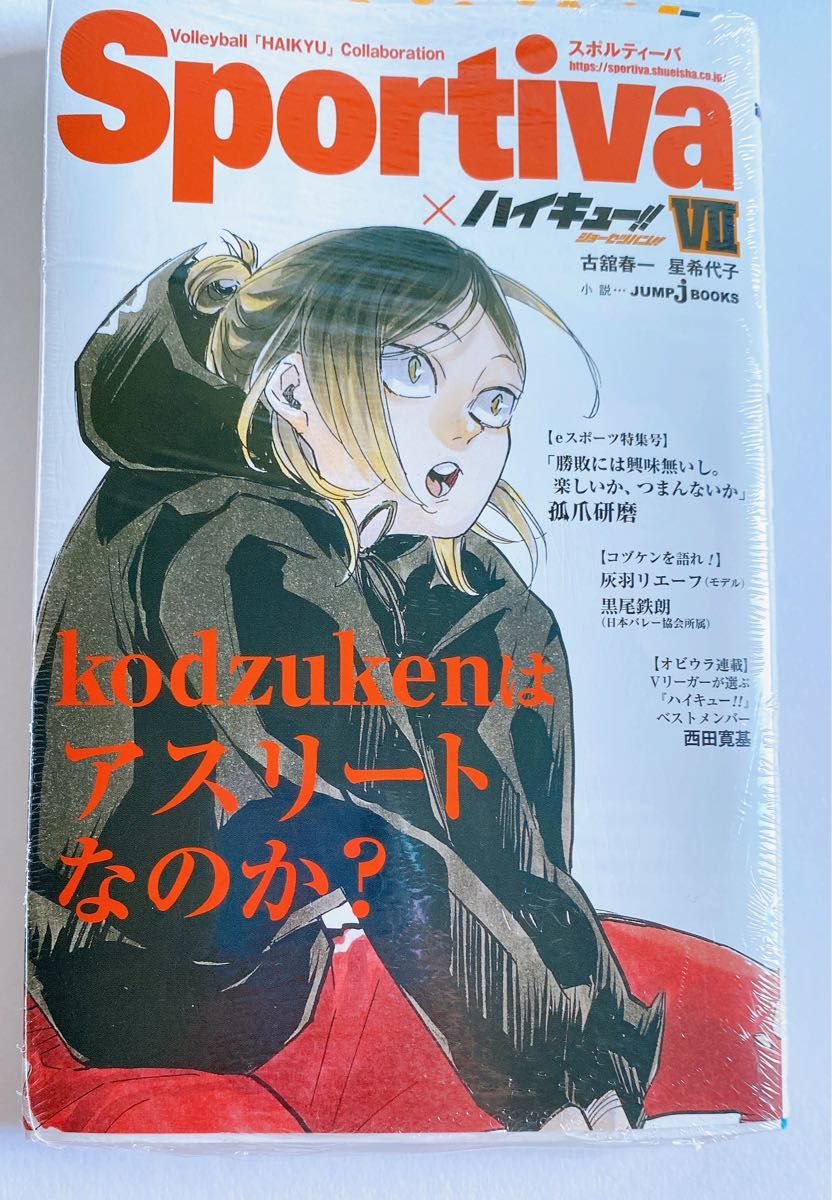 ハイキュー 孤爪研磨 ショーセツバン 7巻