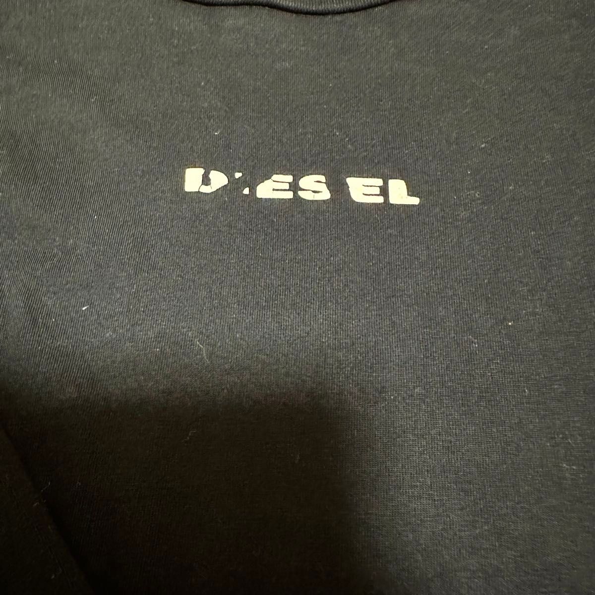 DIESEL (ディーゼル)  Tシャツ　長袖　袖ロゴ