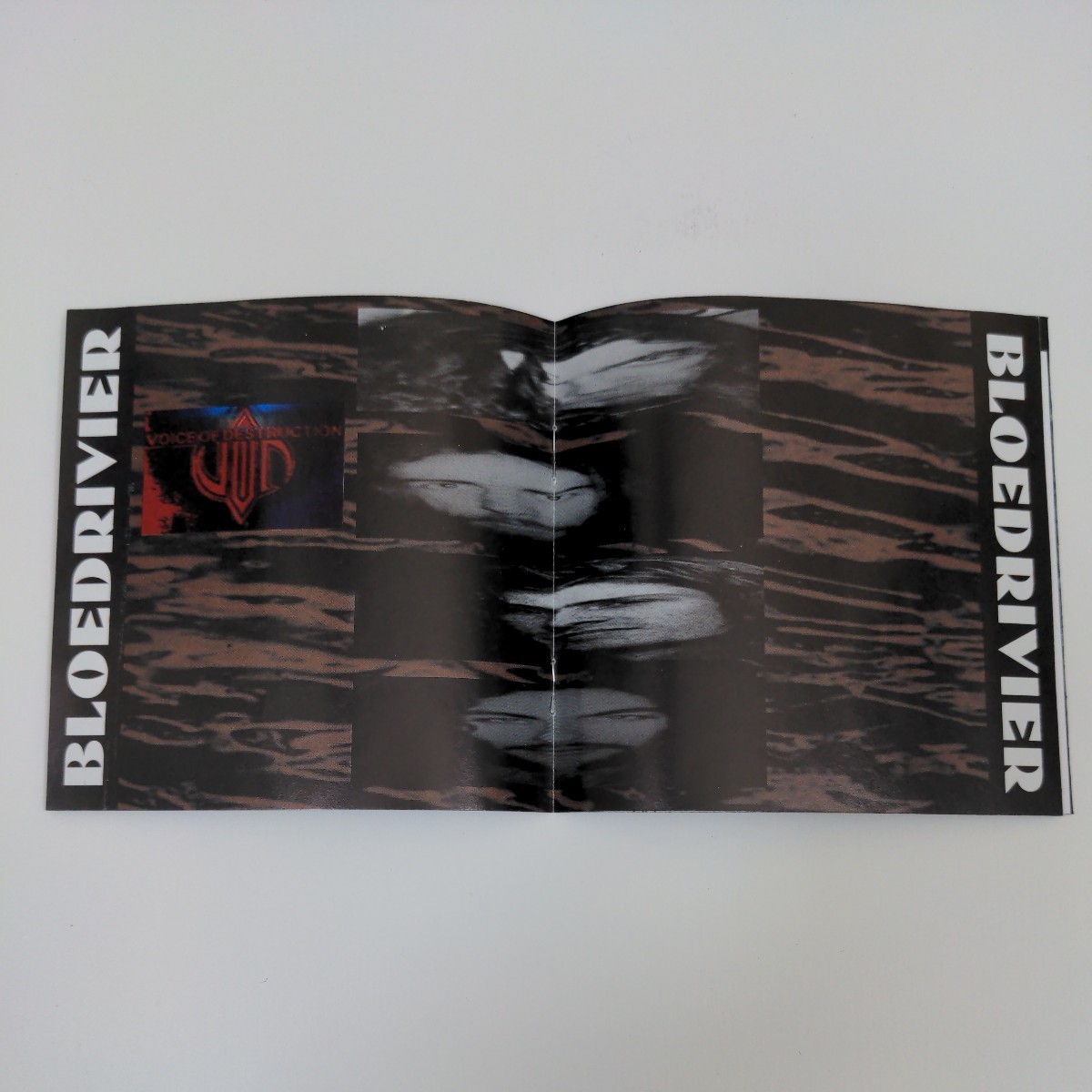 「1st Press」Voice Of Destruction　South Africa　Death Heavy Metal　デスメタル　ヘヴィメタル　輸入盤CD　2nd_画像2