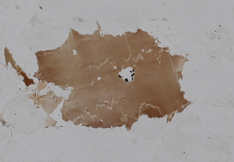 偏光顕微鏡用プレパラート　岩石薄片　黒雲母観察用　1枚　花崗岩中の大きめの結晶部分_パラレルニコル