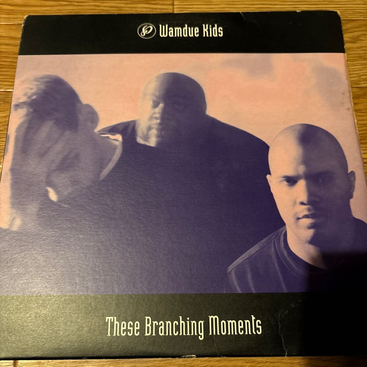 [ Wamdue Kids - These Branching Moments - Peacefrog Records PF059 ]_画像1