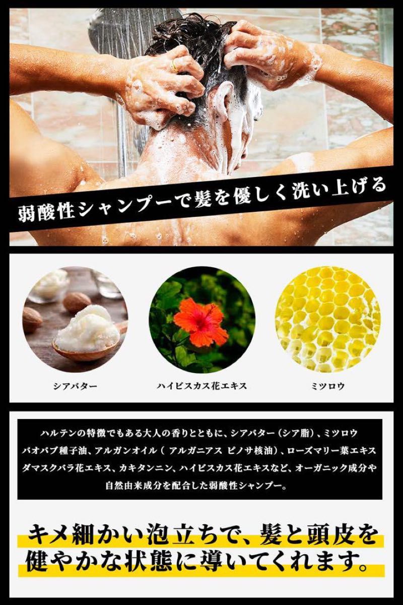 槙野智章プロデュース [HALTEN] 香水 シャンプー トリートメント セット メンズ 300ml/300g サロン品質